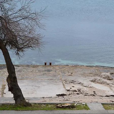 Lägenhet Diklo Zadar